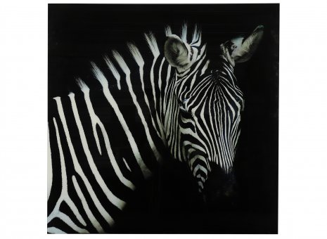 Schilderij zebra