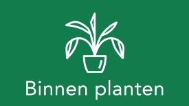 Binnen planten