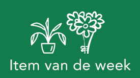 Boeket - plant van de week