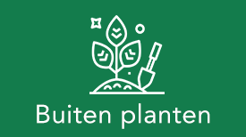 Buiten planten