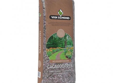 Cacaodoppen