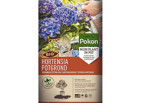 Potgrond hortensia