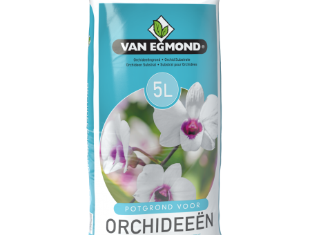 Potgrond orchidee