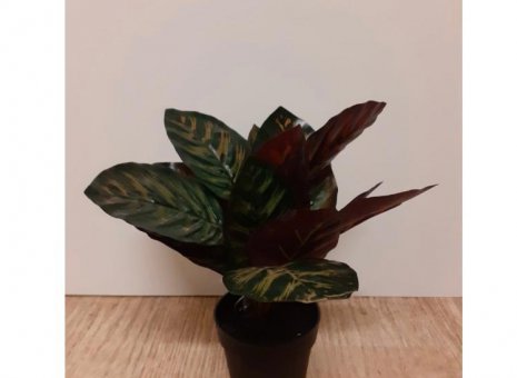 Calathea kunstplant