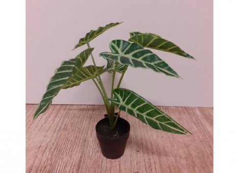 Alocasia kunstplant