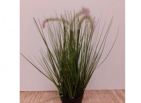 Pennisetum kunstplant