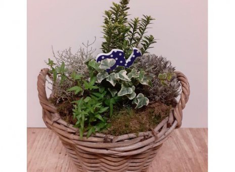 plantenarrangement rieten mand 