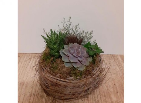 plantenarrangement
