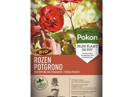 Potgrond rozen